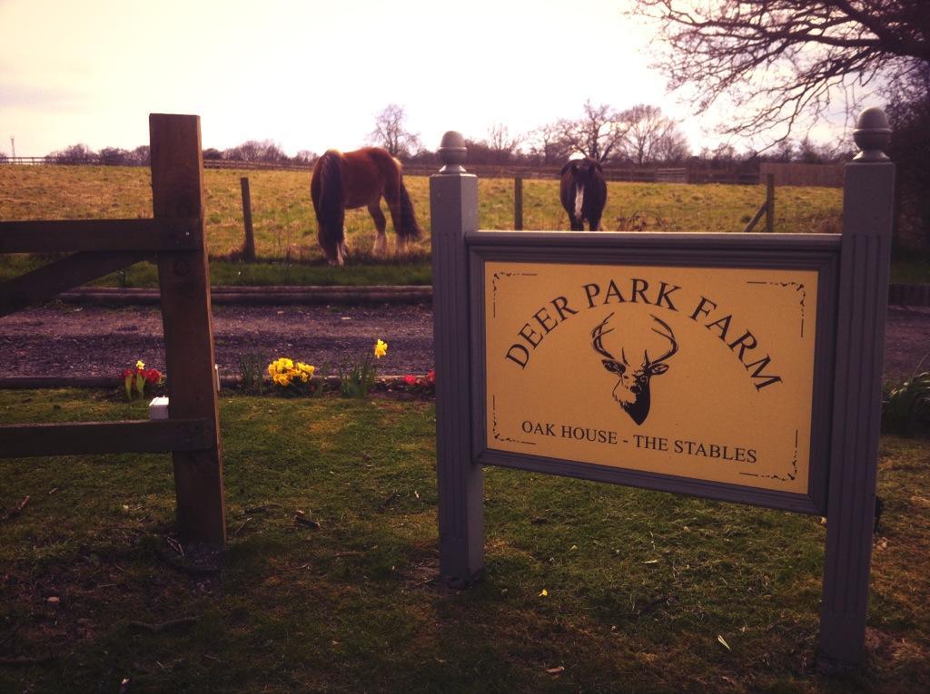 The Stables - Deer Park Farm Bed & Breakfast Solihull Room photo